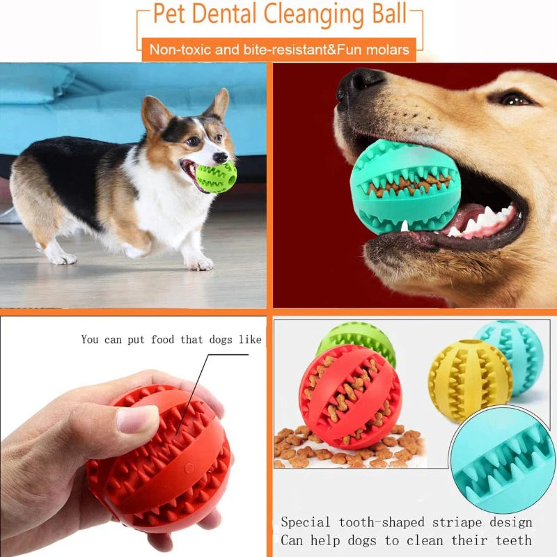 Dental Cleaning Pet Ball