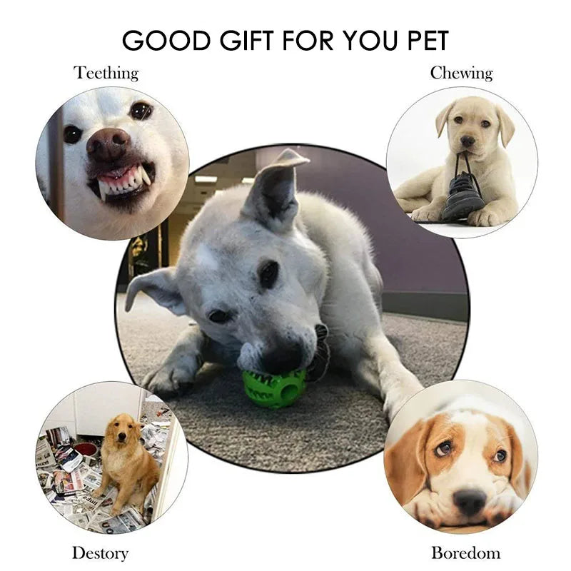 Dental Cleaning Pet Ball